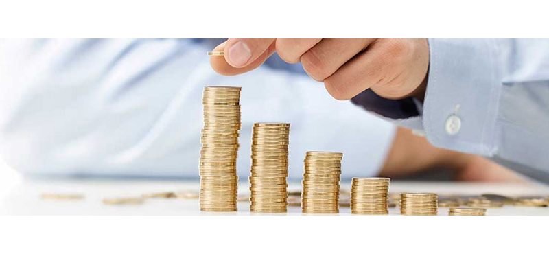 Investment mlm plan software development company pune